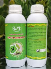 (Chai 1 Lít) Phân Bón Vi Sinh Vật PHYTO-BOOSTER: Kích thích tăng trưởng, rễ mạnh, cây lớn nhanh, tăng sức đề kháng cho cây, hạn chế sâu bệnh. Cải tạo đất, tăng độ phì nhiêu cho đất trồng