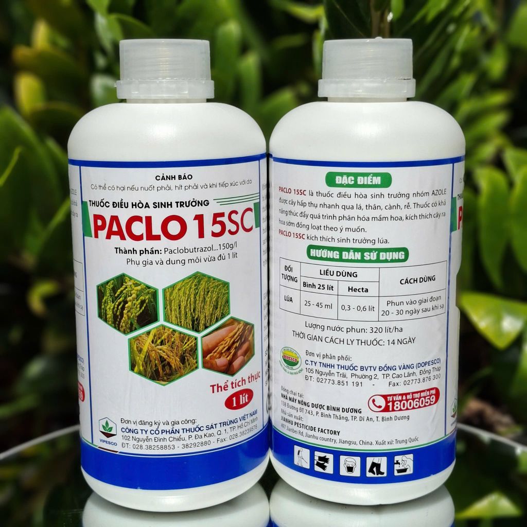(Chai 1L) Thuốc điều hòa sinh trưởng PACLO 15SC [Paclo Đồng Tháp]: thúc đẩy quá trình phân hóa mầm hoa, kích thích cây ra hoa sớm đồng loạt theo ý muốn
