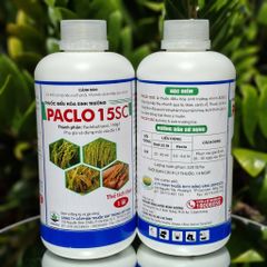 (Chai 1L) Thuốc điều hòa sinh trưởng PACLO 15SC [Paclo Đồng Tháp]: thúc đẩy quá trình phân hóa mầm hoa, kích thích cây ra hoa sớm đồng loạt theo ý muốn