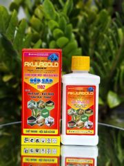 (Rệp sáp cây đào) Phòng trừ rệp sáp gây hại cây đào, không nóng, mát cây, mát bông