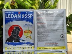 (Gói 100g) Ledan 95SP, Cartap Hydrochloride 95%: đặc trị sâu đục thân, rầy xanh sầu riêng, sâu đục thân, ruồi, bọ trĩ, bọ cánh cứng