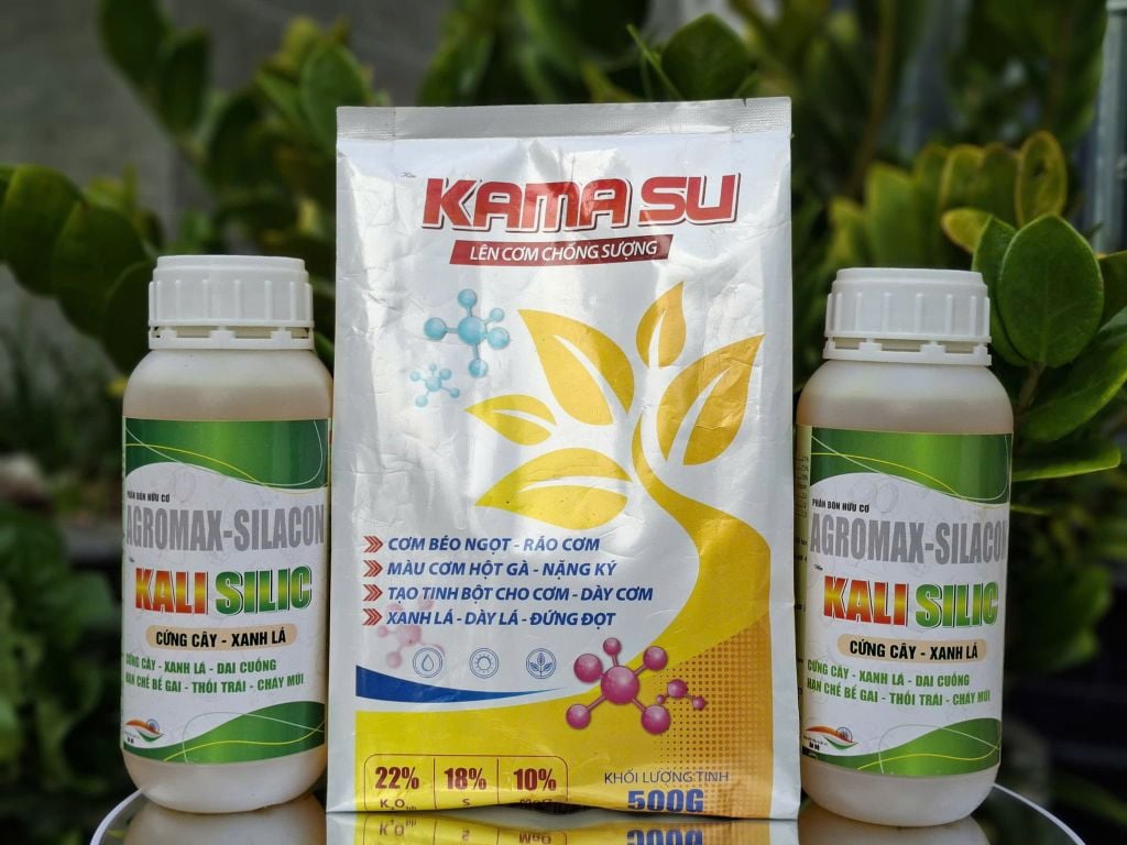 Bộ đôi KAMASU + KALI SILIC giúp sầu riêng lên cơm, vàng đều, không bị bộp, com béo ngọt, chống sượng nước và nhão cơm