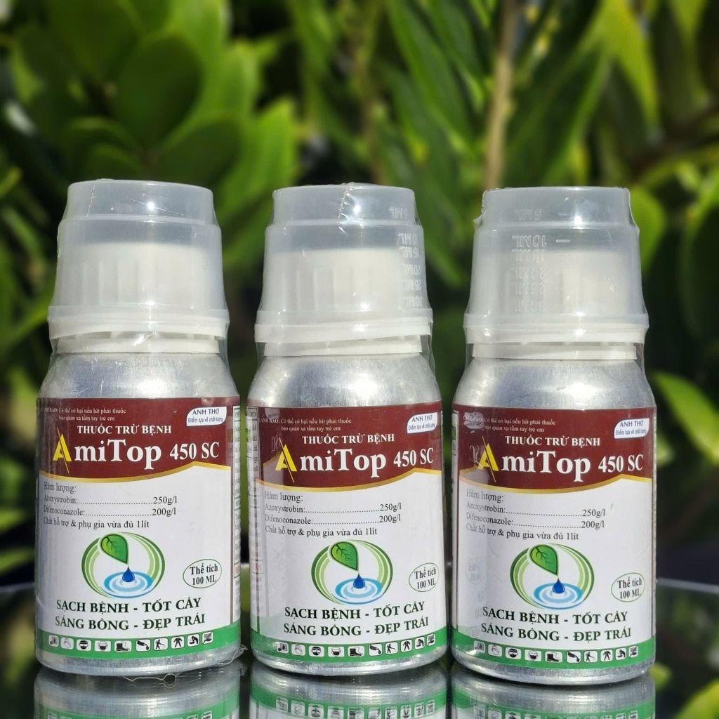(Chai 100ml-240ml) Thuốc trừ bệnh AMITOP 450SC - Phòng trị bệnh đốm lá, sương mai, thán thư, thối trái trên rau màu, khổ qua, bầu bí dưa chuột, dưa leo, phóng đọt, mập đọt, không nóng