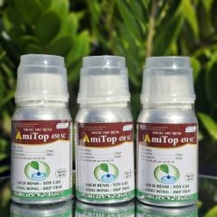 (Chai 100ml-240ml) Thuốc trừ bệnh AMITOP 450SC - Phòng trị bệnh đốm lá, sương mai, thán thư, thối trái trên rau màu, khổ qua, bầu bí dưa chuột, dưa leo, phóng đọt, mập đọt, không nóng