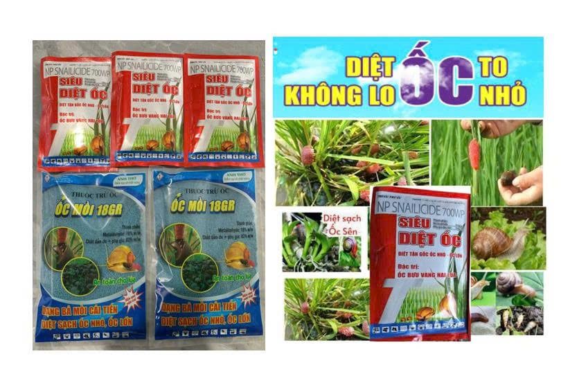 Thuốc trừ ốc bưu vàng, ốc sên, ốc ma, ốc hương - hiệu SIÊU DIỆT ỐC, NP SNAILIDCIDE 700WP, thuốc rãi diệt ốc bưu vàng - Ốc Mồi 18gr 800gam diệt ốc bưu vàng, diệt ốc sên, diệt cả ốc nhỏ và ốc lớn