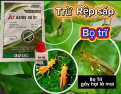 (hoa hồng - hoa mai) Bộ đôi đặc trị rệp sáp, bọ trĩ, rầy mềm, rầy xanh trên cây mai vàng, mai chiếu thủy, cây hoa hồng