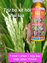 TH SÂu 512 (400ml) Phòng trừ, diệt sâu đục thân lúa, bọ trĩ, bọ xít hôi/ bọ hút chích bông lúa, rầy phấn trắng, muỗi hành hại lúa