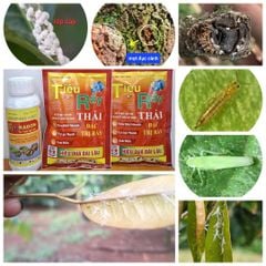 Quản lý sâu rầy rệp như sâu đục thân, rầy xanh, rầy nhảy, rầy phấn trắng, bọ trĩ, rệp sáp. mọt đục cành