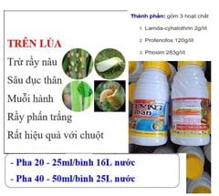 (Chuyên LÚA) Trừ sâu cuốn lá lúa, sâu đục thân, muỗi hành (sâu năn), nhện gié gây hại ruộng lúa