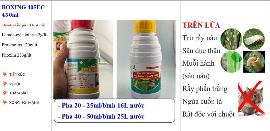 Thuốc trừ sâu BOXING 405EC hiệu đục thân, muỗi hành, rầy nâu, rầy phấn trắng gây hại lúa