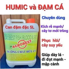 Phục hồi sầu riêng sau thu hoạch, tẩy rong, tưới gốc phục hồi rễ, kích thích rễ, nâng PH đất, cung cấp dinh dưỡng dễ hấp thụ cho cây sầu riêng