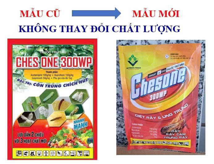 ( 100G) Thuốc trừ sâu CHESONE 300WP: đặc trị bọ xít muỗi hại điều, bọ trĩ, phấn trắng, rầy, rệp sáp, và rệp muội, rầy xanh