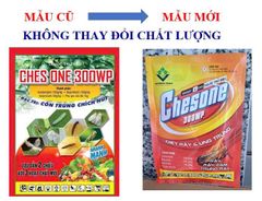 ( 100G) Thuốc trừ sâu CHESONE 300WP: đặc trị bọ xít muỗi hại điều, bọ trĩ, phấn trắng, rầy, rệp sáp, và rệp muội, rầy xanh