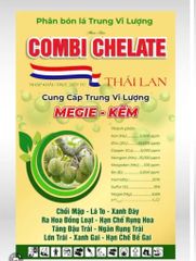Combo Phân Bón Lá Lên Cơm Chống Sượng Trái Sầu Riêng gồm 1 KAMASU + 2 CABO THÁI+ 2 COMBI: cơm dày ngon béo ngọt, ráo cơm, xanh lá đứng đọt