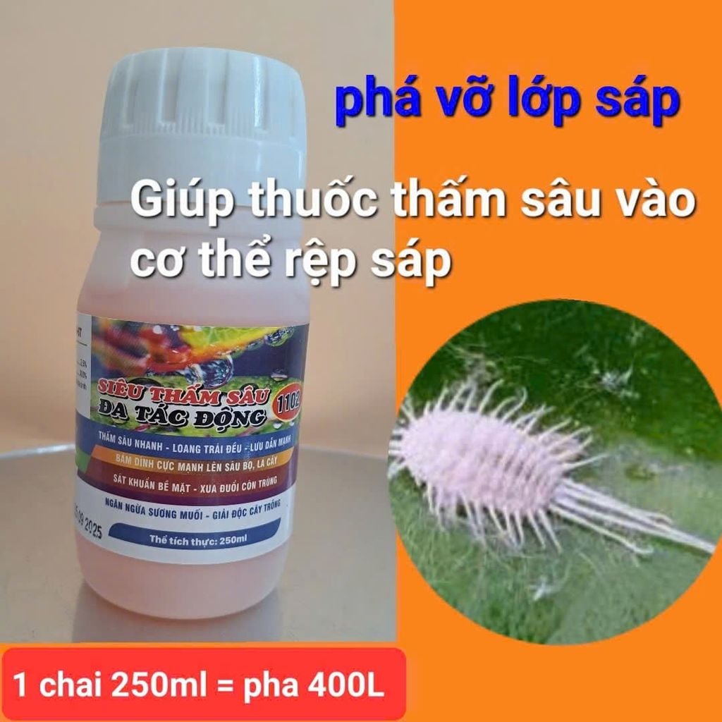 (100gam) Chavez 600wp 100g: trừ Rầy xanh- Rệp sáp, rầy phấn trắng- Bọ lạch - Bọ Xít - Diệt Trứng Và Côn Trùng Chích Hút