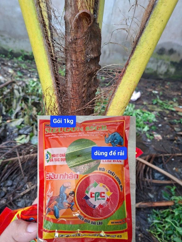 Rải gốc Sieugon 85gr (1kg) - Trừ sâu đục thân lúa, tuyến trùng, sâu đất, bọ dừa, đuông dừa