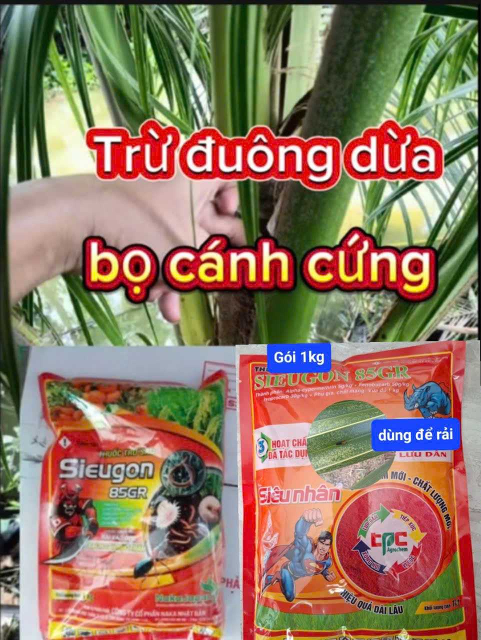 (Đuông dừa - Bọ cánh cứng) Thuốc trừ đuông dừa - bọ cánh cứng hại dừa, sieugon 85gr, rải siêu nhân 1kg