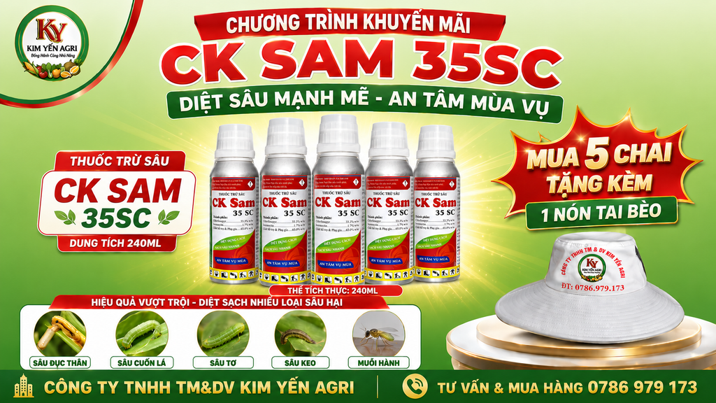 (Chai 240ml) Thuốc Trừ Sâu CK SAM 35SC [Chuyên Lúa] đặc trị Sâu đục thân, Sâu cuốn lá: Sự kết hợp độc đáo của 2 hoạt chất Chlorfenapyr & Ivermectin: lưu dẫn, thấm sâu, sâu ngừng ăn ngay sau phun.