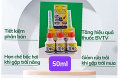 Thuốc trừ nấm bệnh LINOZAMZAR 240SC 240ml : thán thư ớt, thán thư xoài, thán thư sầu riêng, lem lép hạt trên lúa, bạc lá, cháy bìa lá, đạo ôn lúa, vàng lá hành, đốm vòng khoai lang, trừ sương mai, phấn trắng và thán thư