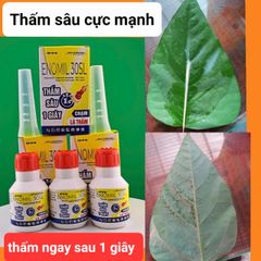 TVG 20 565EC, TP SAP: Đặc trị sâu đục thân lúa, bọ trĩ, Bọ xít hôi, rầy phấn trắng, bù hút chích hút bông lúa - KHÔNG NÓNG