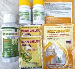 (COMBO) Giải pháp chống sốc nhiệt cho sầu riêng 1 TẢO BIỂN + 2 NEWBRA + 2 CABO THÁI + 2 COMBI, giúp xanh dày lá, tăng sức chóng chịu khô hạn, hạn chế cháy lá, tăng đậu trái, hạn chế rụng trái