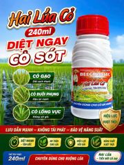 (240ml) Beeco 345 hiệu Hai lúa diệt cỏ 240ml: trừ cỏ lồng vực, cỏ đuôi phụng, cỏ gạo