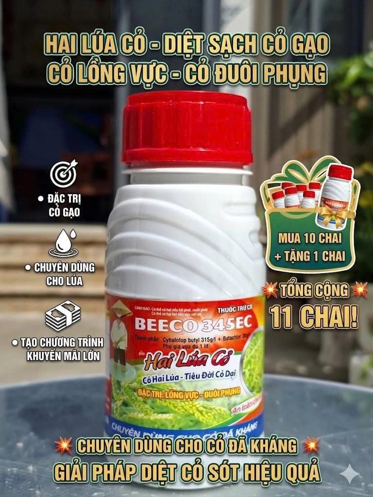 (240ml) Beeco 345 hiệu Hai lúa diệt cỏ 240ml: trừ cỏ lồng vực, cỏ đuôi phụng, cỏ gạo