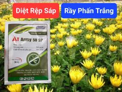 Quản lý rầy phấn trắng và rệp sáp trên hoa cúc - Gói AT ARMY 50 SP chứa Nitenpyram 50%