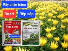 Quản lý rầy phấn trắng và rệp sáp trên hoa cúc - Gói AT ARMY 50 SP chứa Nitenpyram 50%