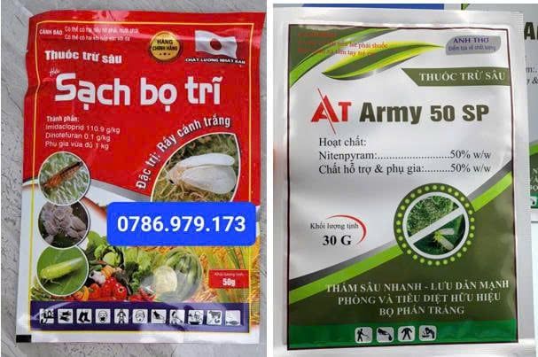 Quản lý rầy phấn trắng và rệp sáp trên hoa cúc - Gói AT ARMY 50 SP chứa Nitenpyram 50%