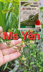 (Giá sỉ 100 chai) Thuốc đặc trị BỌ TRĨ, Megami 178: nhập khẩu Ấn ĐỘ- đặc trị bọ trĩ hiệu quả không nóng cây trồng, sử dụng được trên cây ăn trái và rau màu-20ml