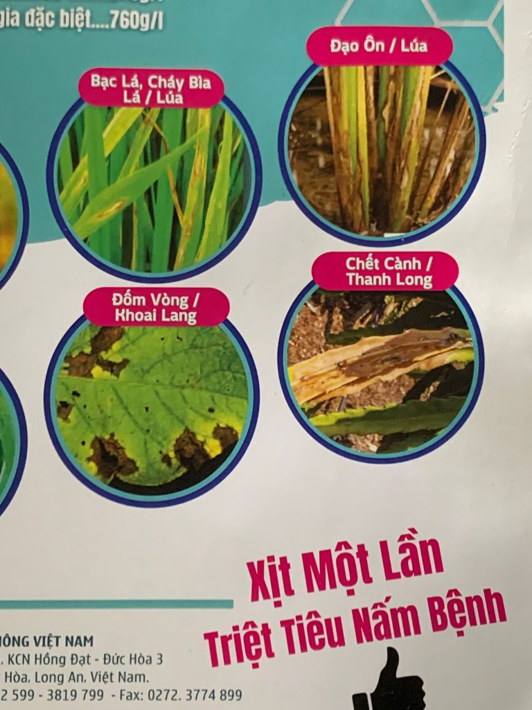 Thuốc trừ nấm bệnh LINOZAMZAR 240SC 240ml : thán thư ớt, thán thư xoài, thán thư sầu riêng, lem lép hạt trên lúa, bạc lá, cháy bìa lá, đạo ôn lúa, vàng lá hành, đốm vòng khoai lang, trừ sương mai, phấn trắng và thán thư