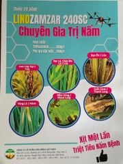 Thuốc trừ nấm bệnh LINOZAMZAR 240SC 240ml : thán thư ớt, thán thư xoài, thán thư sầu riêng, lem lép hạt trên lúa, bạc lá, cháy bìa lá, đạo ôn lúa, vàng lá hành, đốm vòng khoai lang, trừ sương mai, phấn trắng và thán thư