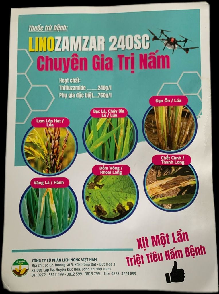 Thuốc trừ nấm bệnh LINOZAMZAR 240SC 240ml : thán thư ớt, thán thư xoài, thán thư sầu riêng, lem lép hạt trên lúa, bạc lá, cháy bìa lá, đạo ôn lúa, vàng lá hành, đốm vòng khoai lang, trừ sương mai, phấn trắng và thán thư