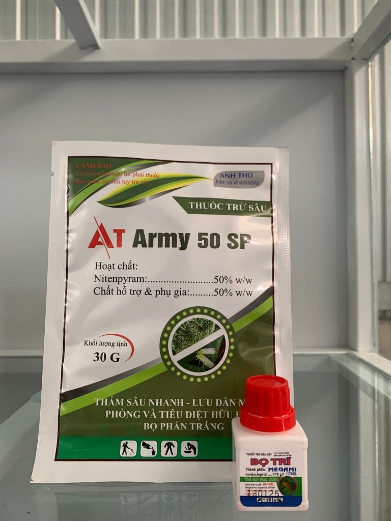 (hoa hồng - hoa mai) Bộ đôi đặc trị rệp sáp, bọ trĩ, rầy mềm, rầy xanh trên cây mai vàng, mai chiếu thủy, cây hoa hồng