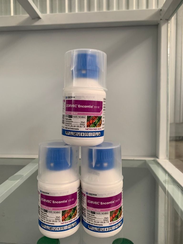 Thuốc trị bệnh ZORVEC Encantia 330SE nội hấp lưu dẫn phòng trừ bệnh sương mai trên cà chua, khoai tây, dưa chuột và bệnh chết nhanh trên hồ tiêu