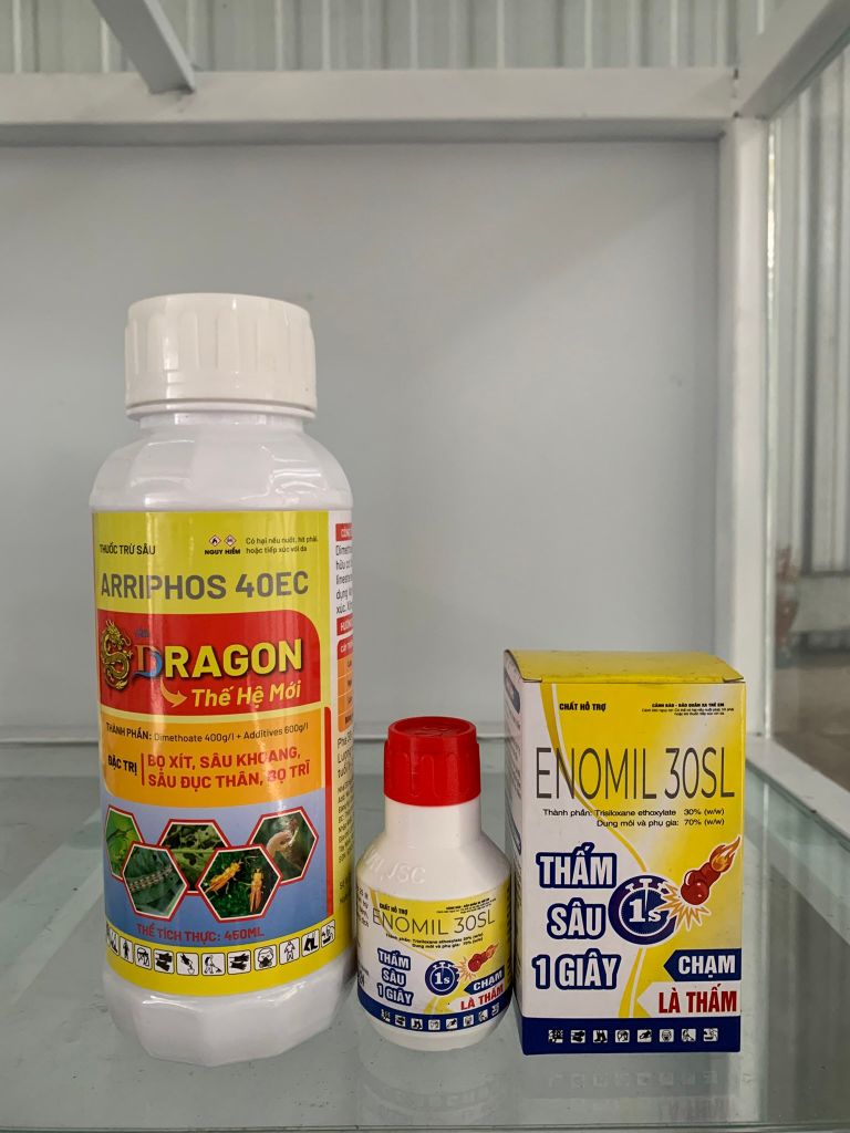 (Sâu đục thân, mọt đục cành) Thuốc trừ sâu đục thân và mọt đục cành gây hại cà phê, sầu riêng...