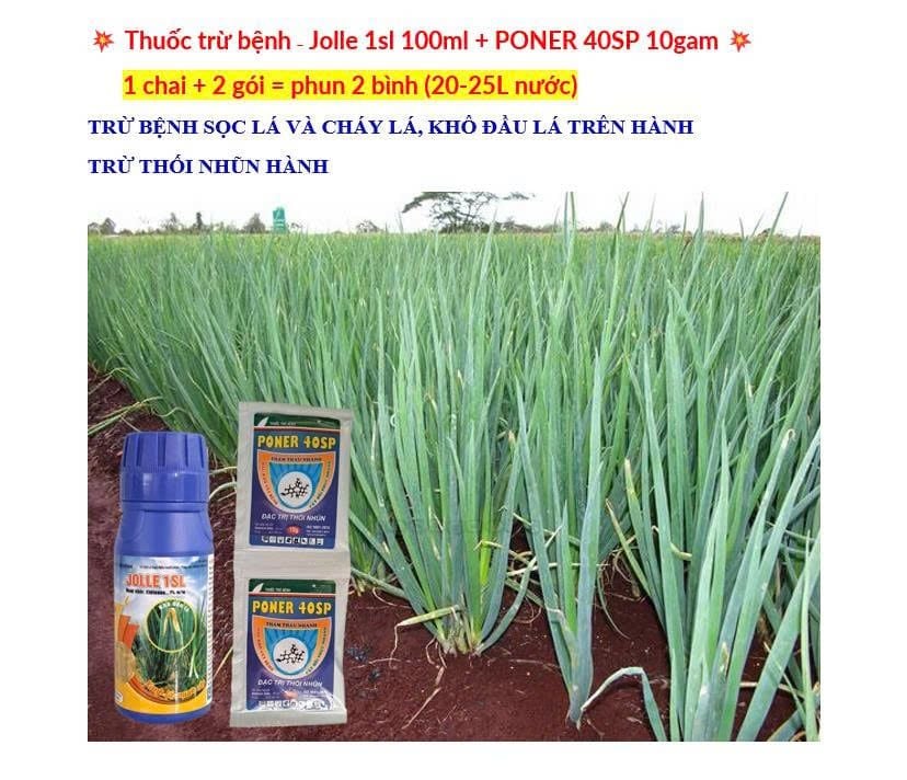 Jolle 1sl 100ml - Đặc trị bệnh vi khuẩn sọc lá và cháy lá, bệnh khô đầu lá hành