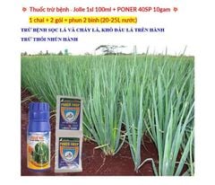 Jolle 1sl 100ml - Đặc trị bệnh vi khuẩn sọc lá và cháy lá, bệnh khô đầu lá hành