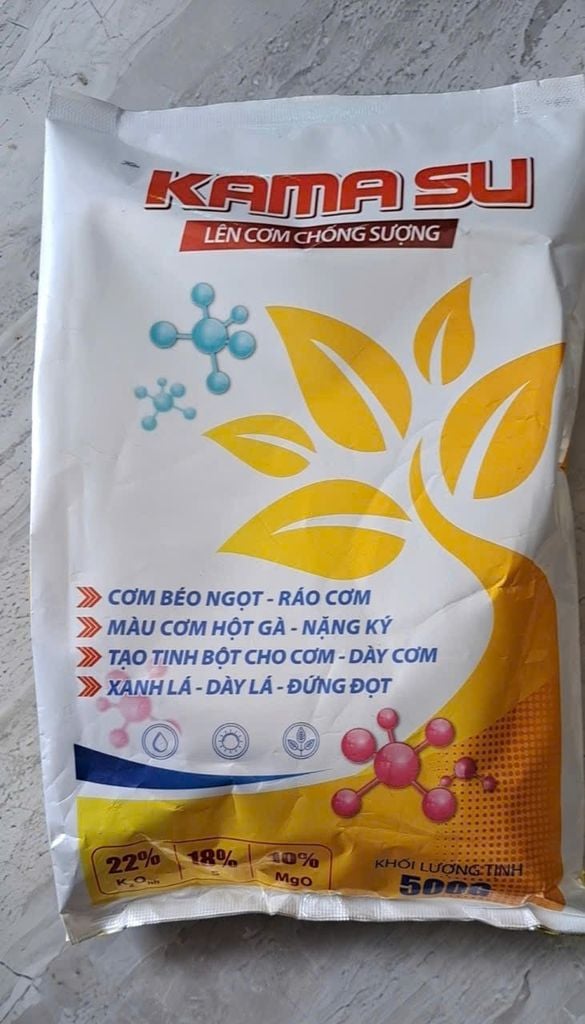 (Gói 500g) Phân bón Sulphat Kali Magie: KAMASU - Lên Cơm Chống Sượng: cơm béo ngọt, ráo cơm, màu cơm hột gà, nặng ký, tạo tinh bột cho cơm, dày cơm, xanh lá, dày lá đứng đọt