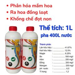 Tạo mầm sầu riêng mùa thuận lần 1, lần 2, lần 3: kích thích mầm ra đồng đều, mầm khỏe, ra hoa theo ý muốn