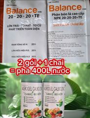 (Lớn trái, nặng ký) Bộ đôi lớn trái ổi, lớn trái mít, lớn trái vú sữa, trái to tròn đều, hạn chế méo trái, đặc ruột nặng ký