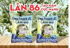 Bộ Tạo Mầm Sầu Riêng Nghịch Vụ 2025, Siêu Lân Đỏ 1L, Gói 10-60-10 1kg & Gói Lân 86 1kg Nova