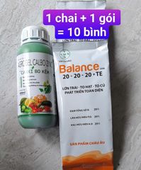 (Lớn trái mít) Bộ đôi lớn trái mít, trái to tròn đều, hạn chế méo trái, nở gai hết cỡ, múi mít to, nặng ký, chống nứt trái