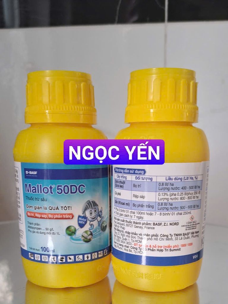 Thuốc trừ sâu Mallot 50DC 100ml: đặc trị các loại côn trùng chích hút như rệp sáp, bọ trĩ, bọ phấn trắng