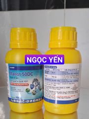 Thuốc trừ sâu Mallot 50DC 100ml: đặc trị các loại côn trùng chích hút như rệp sáp, bọ trĩ, bọ phấn trắng