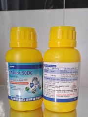 Thuốc trừ sâu Mallot 50DC 100ml: đặc trị các loại côn trùng chích hút như rệp sáp, bọ trĩ, bọ phấn trắng
