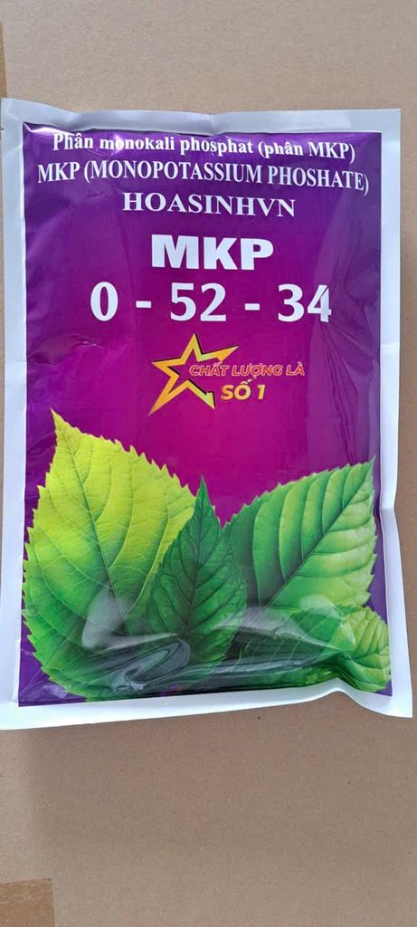 (Tạo mầm hoa cho mít) Combo tạo mầm mạnh cho mít thái, mít ruột đỏ indo- giúp mít ra hoa nhiều, ra hoa đồng loạt và tăng tỷ lệ đậu trái