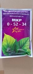 (Tạo mầm hoa cho mít) Combo tạo mầm mạnh cho mít thái, mít ruột đỏ indo- giúp mít ra hoa nhiều, ra hoa đồng loạt và tăng tỷ lệ đậu trái