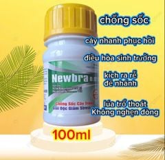 (Chuyên lúa) Thuốc điều hòa sinh trưởng Newbra 0.01 SL, 24 Epi Brassinolide 0.01 g/l: chống sốc cây trồng, giải độc giảm stress :giúp cây ra rễ mạnh, đẻ nhánh, thoát trổ đồng loạt và vô gạo tối đa